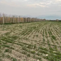 زمین باغی ۱۸۰متری۸۹میلیون پشت هتل گلریزان