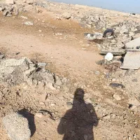 زمین-در-مندلی