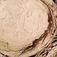 ،تعدادی سبد زنبور عسل موجود است