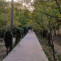 مشاور محترم املاک(بی حاشیه)