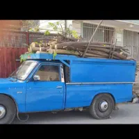 چوب باغی وساختمانی شما را خریداریم