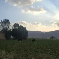 زمین-پشت-توران-گاز