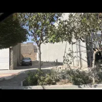 زمین با پروانه بر خیابان اصلی