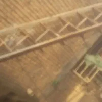 آب چکان استیل|آبچکان و نظمدهنده ظروف|شوشتر, |دیوار