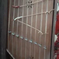 سنتور|سازهای سنتی|همدان, |دیوار