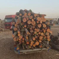 خرید  چوب‌های باغبانی و هیزمی هرس
