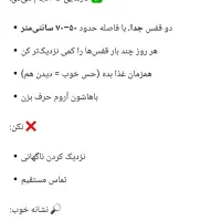 چمن مصنوعی|گل مصنوعی|تهران, نارمک|دیوار