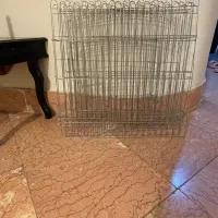 پارک سگ