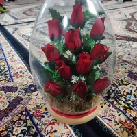 گل نو شیک