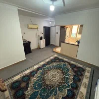 ۴۶ متر‌ / سرمایه گذاری / هلال احمر / تخلیه