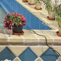 اجرگری سنتی ۲۰ در ۲۰‌مخصوص نما و کف سازی کافه|مصالح و تجهیزات ساختمان|طرقبه, |دیوار