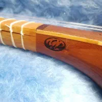 سه تار عزیزی تازه سرویس شده در حد نو با هارد کیس|سازهای سنتی|کاشان, امیرکبیر|دیوار