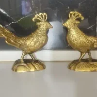 دو عدد طاووس برنز