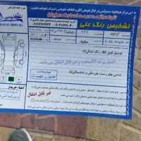مدل 96بیرنگ همه چیز به شرط.|خودرو سواری و وانت|خرم‌آباد, |دیوار