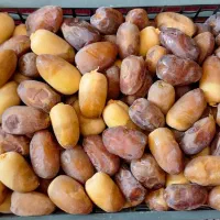 رطب کبکاب عسلی|خوردنی و آشامیدنی|کرج, بنیاد|دیوار