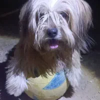 .             15تومان