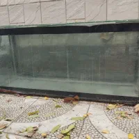 آکواریوم بزرگ