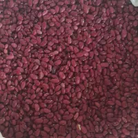 لوبیا|عمده‌فروشی|چناران, |دیوار