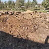 کود گاوی
