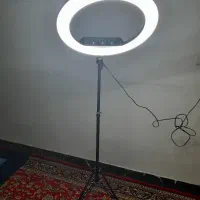 ریلایت