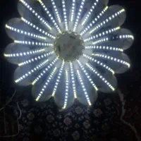 لامپ دست|لامپ و چراغ|جوانرود, |دیوار