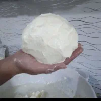 کره محلی گاوی