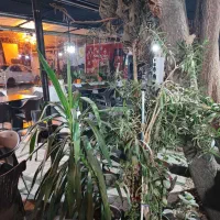 استخدام کافه رستوران سیزده بدر|استخدام خدمات فروشگاه و رستوران|تبریز, |دیوار