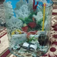 آکواریوم با لوازم