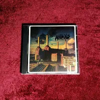 موزیک فیزیکی