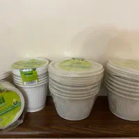 ظرف یکبار مصرف