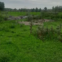 زمین-سنددار-لاهیجان-روستای-گورندان