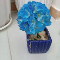 باکس جای مجسمه وگلدان ۲۰۰|کتابخانه، شلف، قفسه‌های دیواری|کرمانشاه, |دیوار