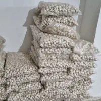 مهره چوبی|صنایع دستی و سایر لوازم تزئینی|آفتاب, |دیوار