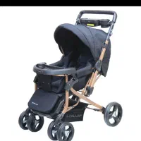 کالسکه دلیجان مدل بنیتا