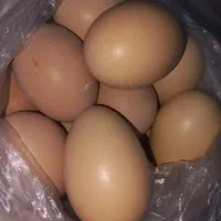 تخم مرغ طعبیی