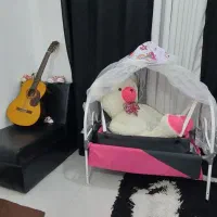 گهواره در حد نو