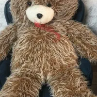 خرس  بزرگ