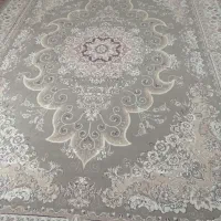 فرش ماشینی 12متری سالم فیلی فقط در چت جوابگو هستم|فرش|هشتگرد, طاووسیه|دیوار