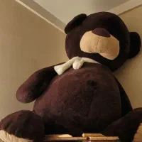 خرس عروسکی خیلی بزرگ