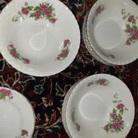 ظروف گل سرخی