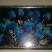 تابلوعکس تمیزو سالم