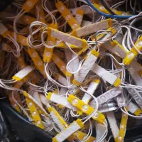 ریسه نوری کار کرده حدودا ۵۰تا ۶۰متر