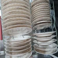 الکوپال گل ویکتوریا