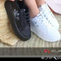 کفش اسپرت و مجلسی|کیف، کفش، کمربند|یاسوج, |دیوار