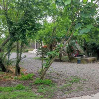 کد۲۰واحد ۲|اجارهٔ کوتاهمدت ویلا و باغ|چاف و چمخاله, |دیوار