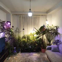 گلهای سالم و بزرگ