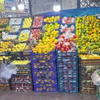 استخدام نیروی کار آقا