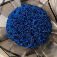 گل روبانی قرمز شاین و ساده|گل مصنوعی|شیراز, کوشک میدان|دیوار