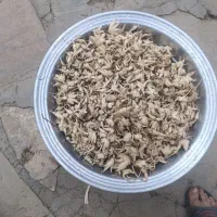 گیاهان دارویی|خوردنی و آشامیدنی|تکاب, |دیوار