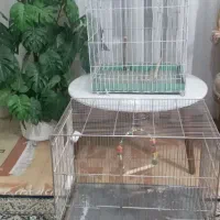 قفس پرنده
